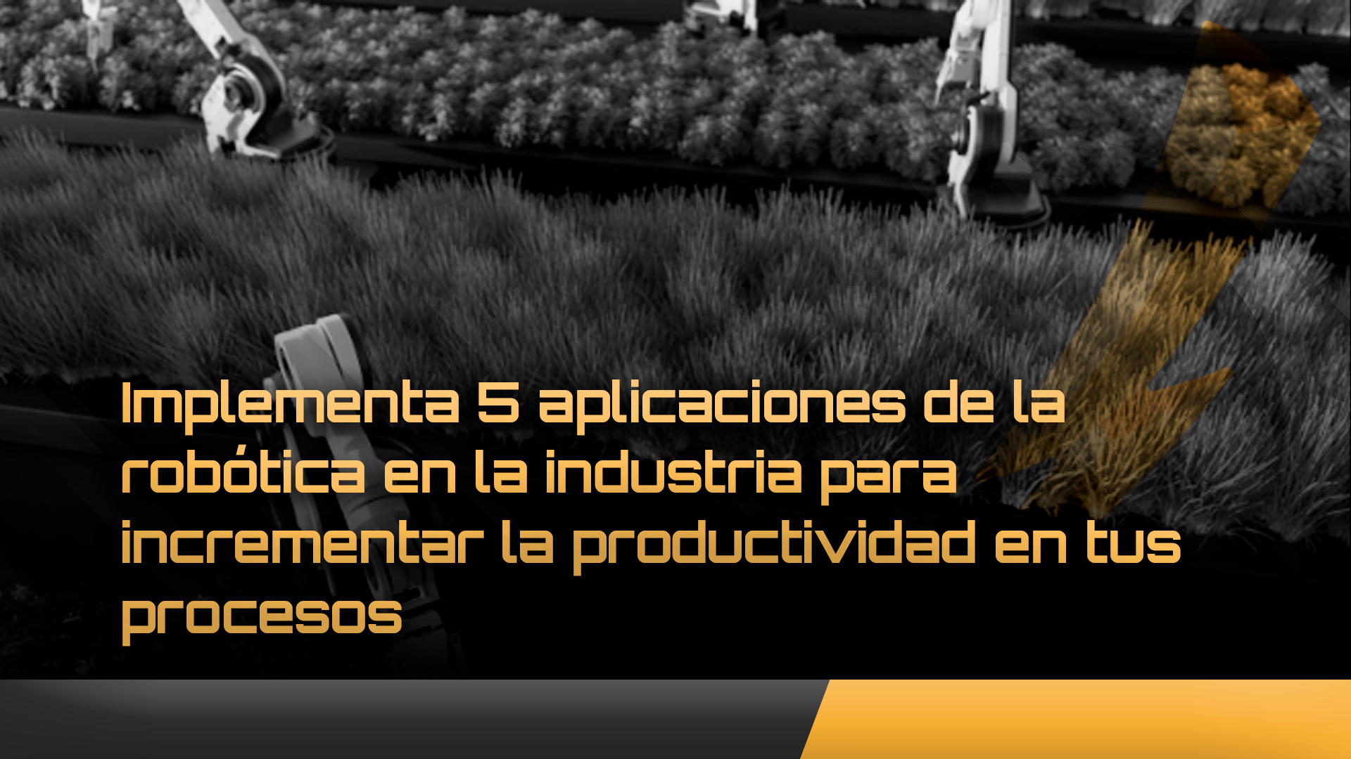 Aplicaciones de la robótica en la industria