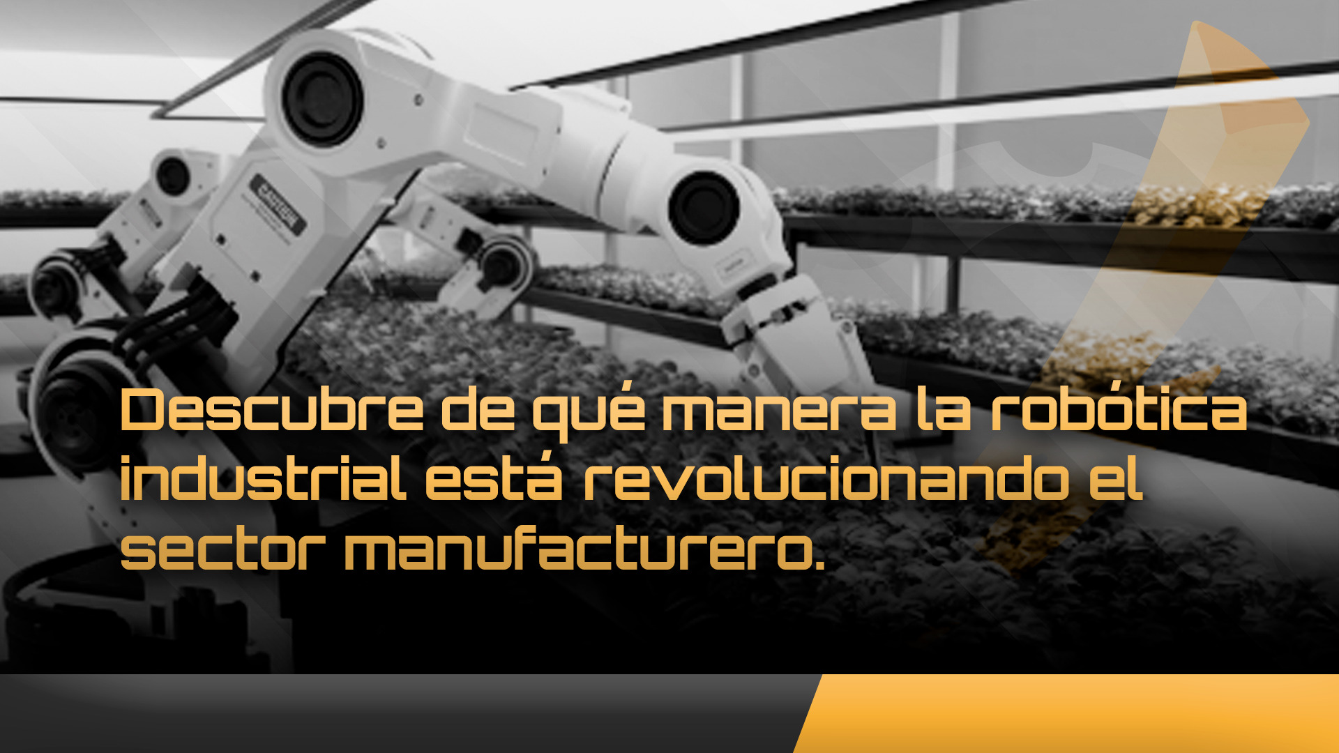 robotica-industrial